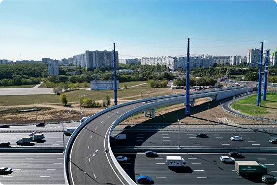 Что такое РНИС